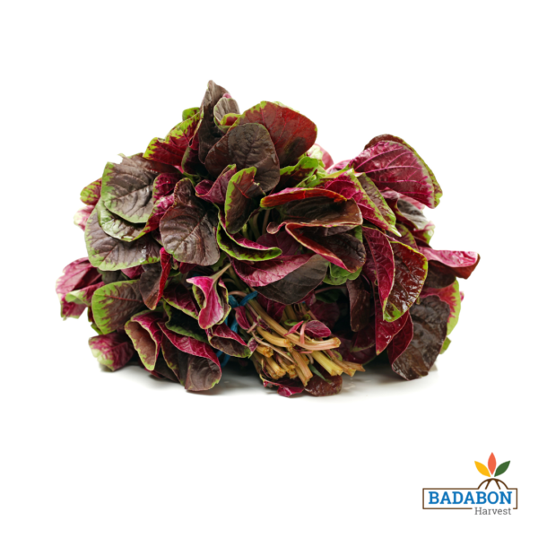 Amarnath red - লাল নটেশাক