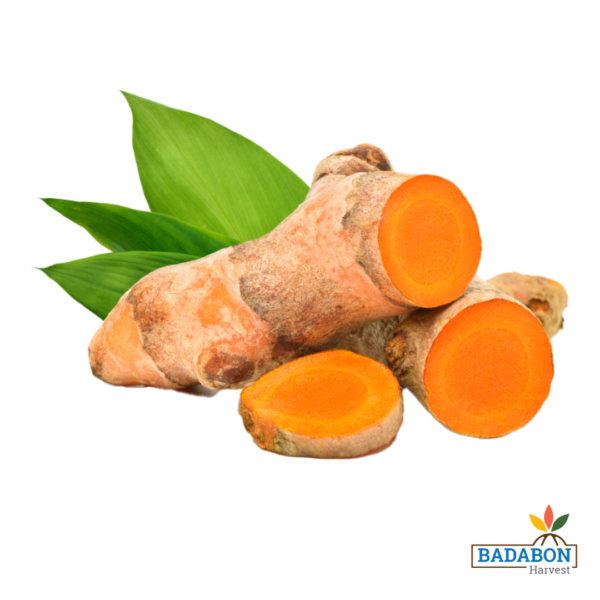 Turmeric raw - কাঁচা হলুদ