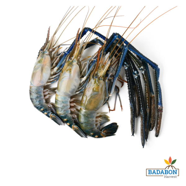 Giant Freshwater Prawn - গলদা চিংড়ি - 500 gm