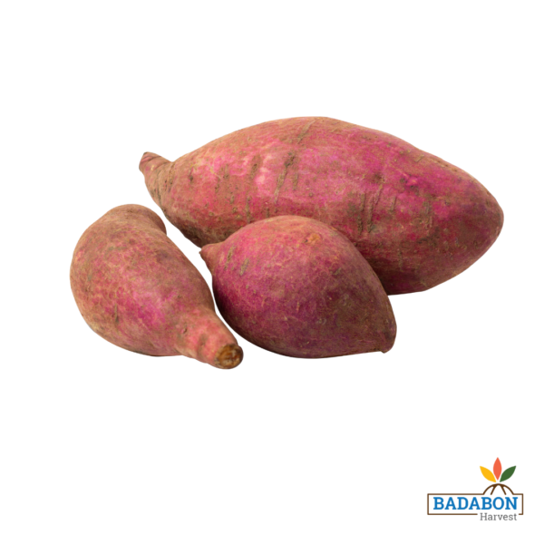 Sweet potato - লাল আলু
