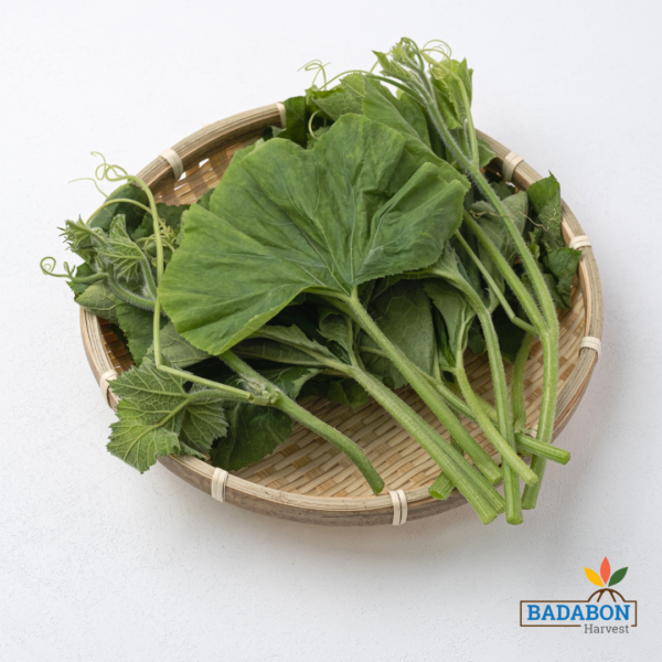 Pumpkin leaves / কুমড়ো শাক