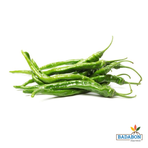 Green chilli - কাঁচা লঙ্কা
