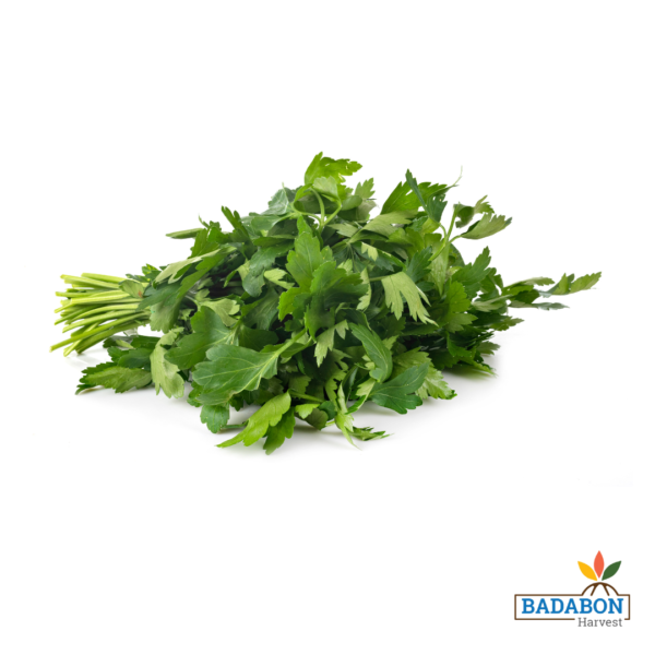 Radish green - মুলো শাক