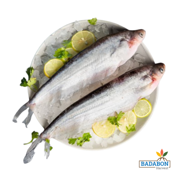 Pabda - পাবদা মাছ 500gm